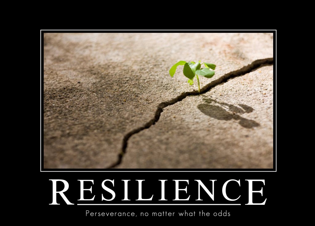 resilience